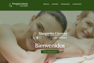 paginas web dagaz tech
