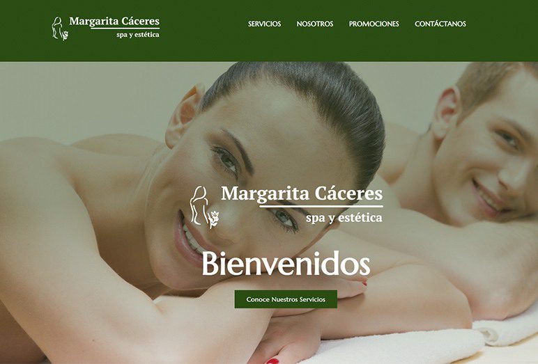 paginas web dagaz tech